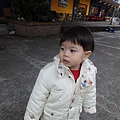 20110129.jpg