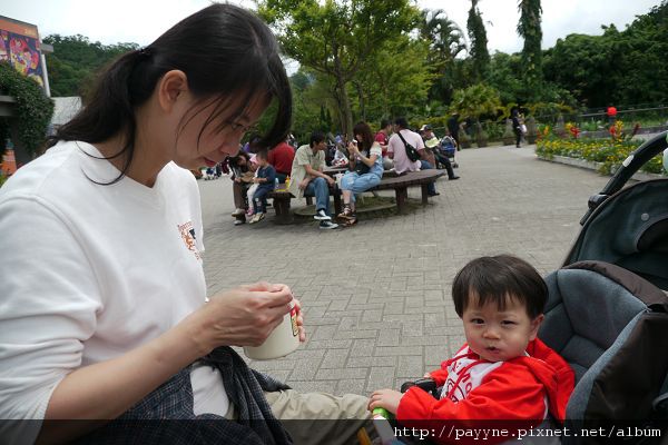 20100417-來到動物園，也睡醒了。不過……，先等我吃完飯飯再說。