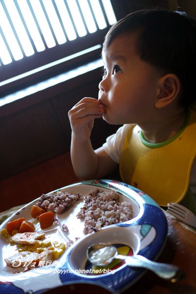 P1130060-a.jpg