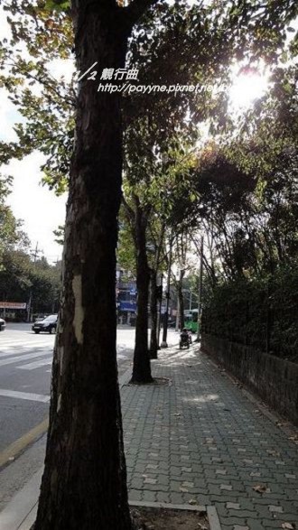 DSC00508.jpg