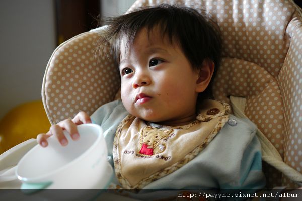 20100326-真的睡飽了嗎？怎麼午飯吃到一半就「茫」了…..。