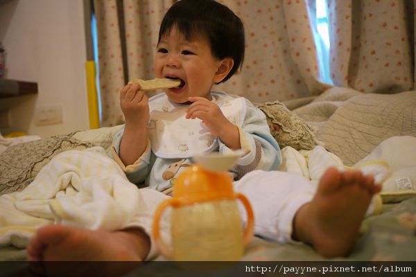 20100423-顧不得鏡頭前的形象了，還是大口把餅乾吃掉比較實際。