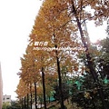 DSC00448.jpg