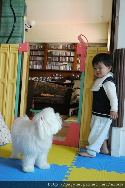 2010.04.30-粽子，媽咪說你不能進房間，再不出去我要叫媽咪來了喔!!