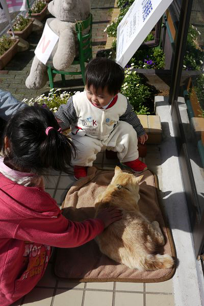 2010.03.21-對販賣部沒興趣，對門口的猫咪(日本的貓是犬字旁喔...^^~) 較感趣