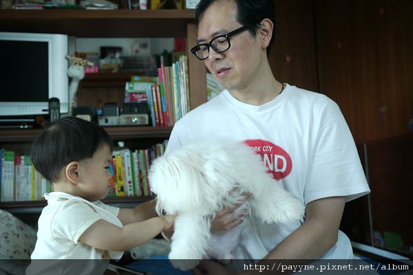 2010.05.22-原來是粽子要去剪頭髮了..那先抱過來再摸摸