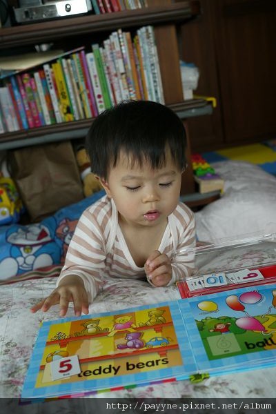 2010.05.15-看教導數字的磁鐵書..