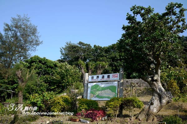 P1130166-a.jpg
