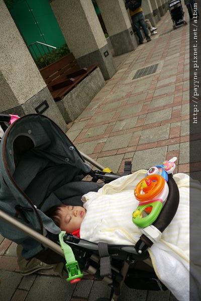 20100417-今天爸比媽咪帶我到動物園玩。不過……，先讓我好好睡一覺再說。