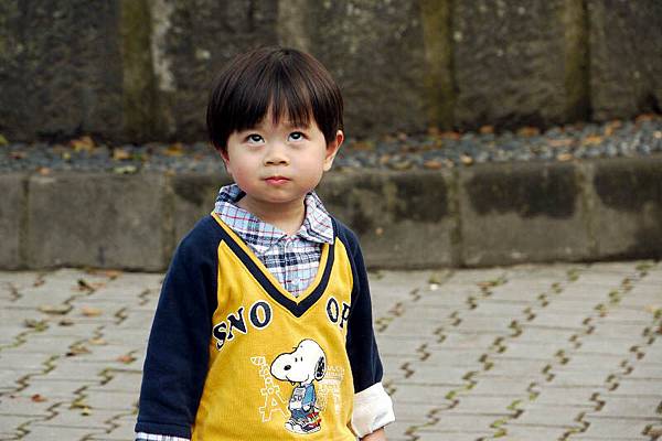 20110313-f.jpg