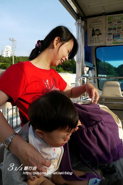 P1130717.jpg