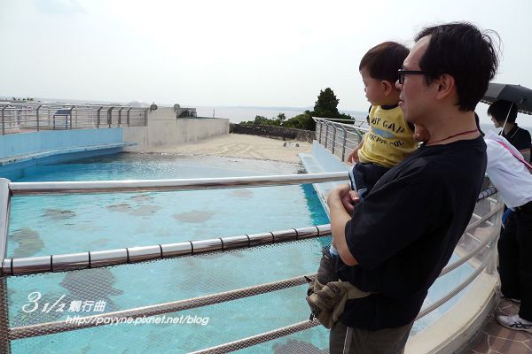 P1130431.jpg
