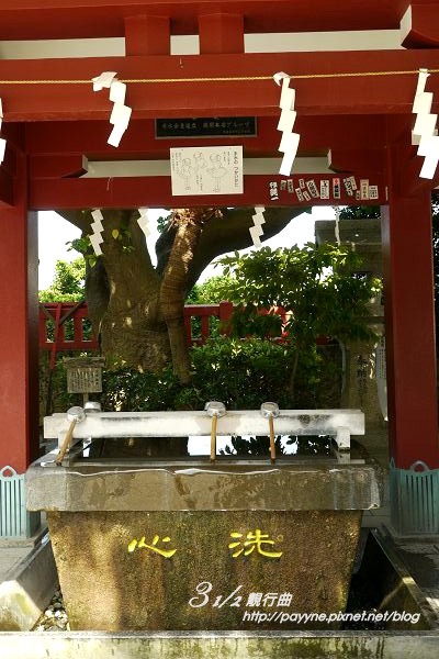 P1130851-a.jpg