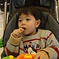 20110203-a.jpg