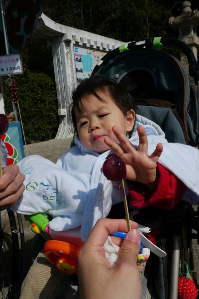 2010.03.20-八幡宮前的小攤販竟有賣這種葡萄糖葫蘆，一顆就要日幣100元