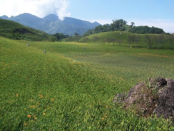 六十石山花田