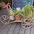 AnnieGarden_a130.JPG