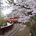 SaKuRa06_060.jpg