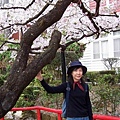 SaKuRa06_200.jpg