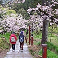 SaKuRa06_390.jpg