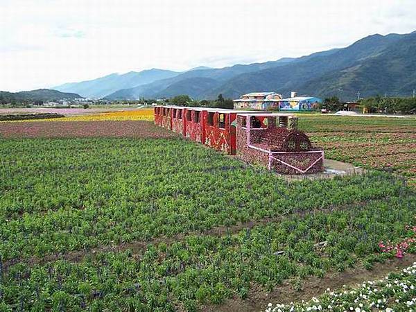 2011_L020.jpg