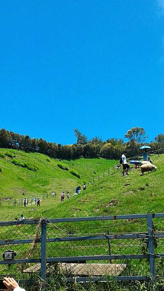 P_20160723_112608_1_p P_20160723_112608_1_p