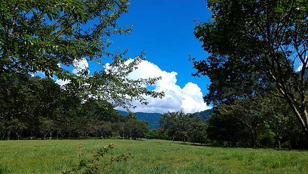 P_20160721_140358 P_20160721_140358