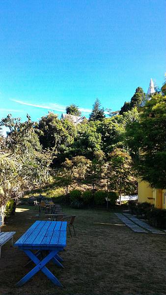 P_20160722_080830_1_p P_20160722_080830_1_p