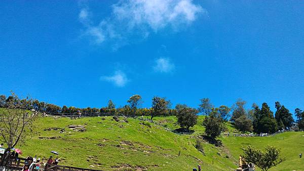 P_20160723_104036 P_20160723_104036