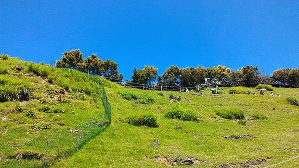 P_20160723_105254 P_20160723_105254