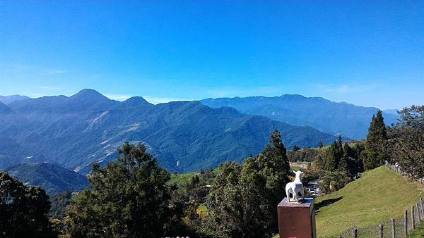 P_20160723_085233 P_20160723_085233