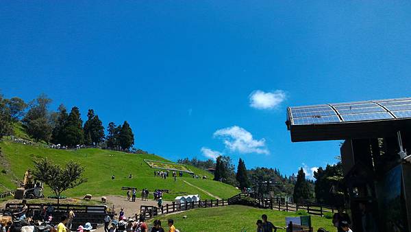 P_20160723_104045 P_20160723_104045