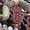 DSC01866.JPG