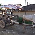 DSC00873.JPG