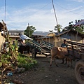 DSC00874.JPG