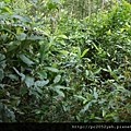 DSC00992.JPG