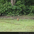 DSC00996.JPG