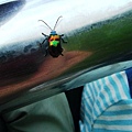 DSCF1116.JPG