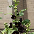 DSC00094