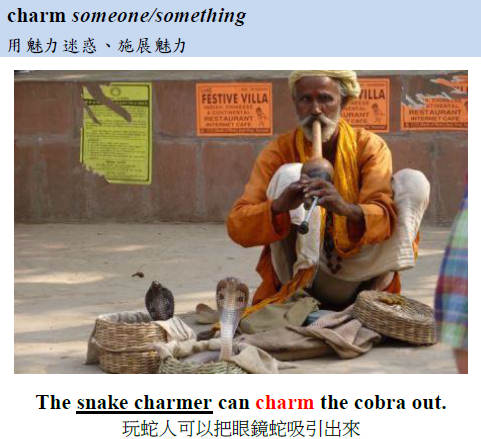 charm cobra