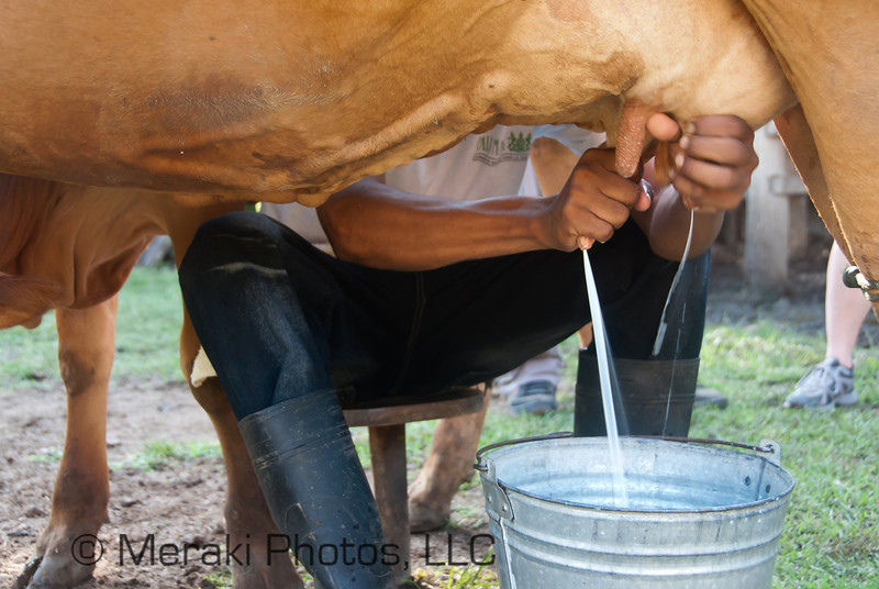 Morgans Rock 201309 Breakfast at the Farm 031-L.jpg