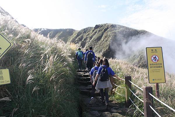 IMG_0202.JPG IMG_0202.JPG