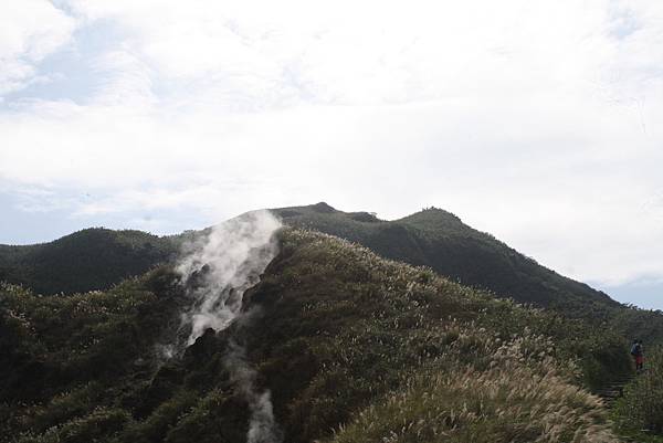 IMG_0216.JPG IMG_0216.JPG