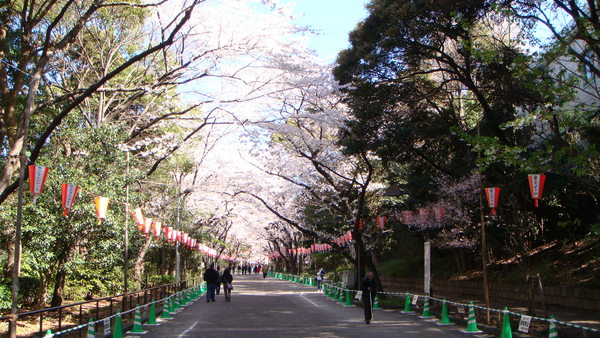 上野公園到啦！