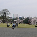 到了英式庭園的大草坪啦！