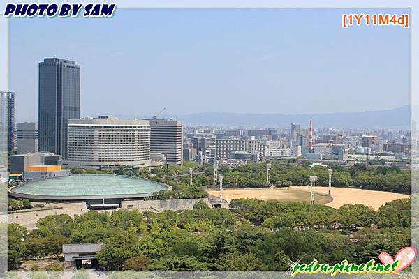 展望台風景