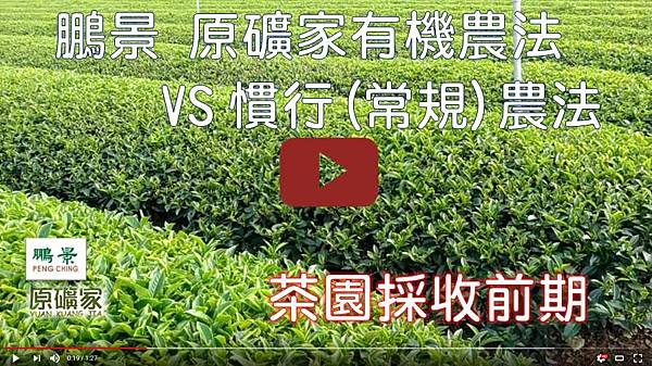 20180302影片連結封面：鵬景 原礦家有機農法 有機茶園萌芽期.JPG