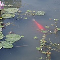 IMGP0397.jpg
