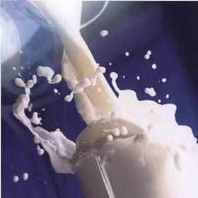 牛奶.jpg