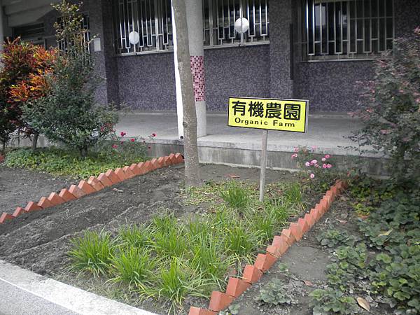 有機菜園栽植情形 025.jpg